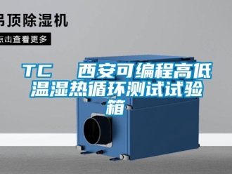常見問題TC  西安可編程高低溫濕熱循環(huán)測試試驗(yàn)箱