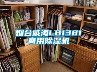 常見問題煙臺威海LB1381商用除濕機(jī)