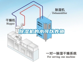 企業(yè)新聞除濕機(jī)的水可以養(yǎng)魚(yú)