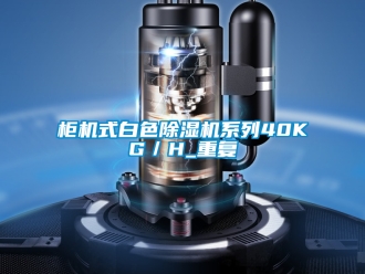 行業(yè)新聞柜機(jī)式白色除濕機(jī)系列40KG／H_重復(fù)