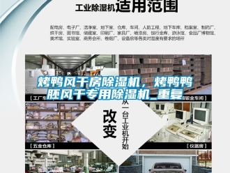 行業(yè)新聞烤鴨風(fēng)干房除濕機(jī)，烤鴨鴨胚風(fēng)干專用除濕機(jī)_重復(fù)