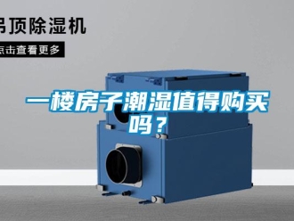 常見問題一樓房子潮濕值得購買嗎？