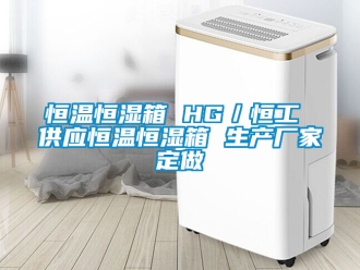 知識百科恒溫恒濕箱 HG／恒工 供應(yīng)恒溫恒濕箱 生產(chǎn)廠家定做