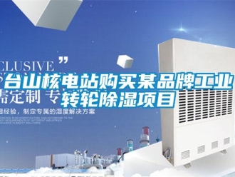 知識(shí)百科臺(tái)山核電站購買某品牌工業(yè)轉(zhuǎn)輪除濕項(xiàng)目
