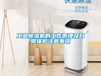 常見問題工業(yè)除濕機的工作原理及日常維護注意事項