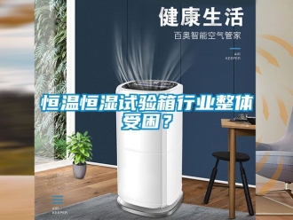 知識(shí)百科恒溫恒濕試驗(yàn)箱行業(yè)整體受困？
