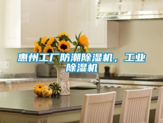 常見問題惠州工廠防潮除濕機(jī)，工業(yè)除濕機(jī)
