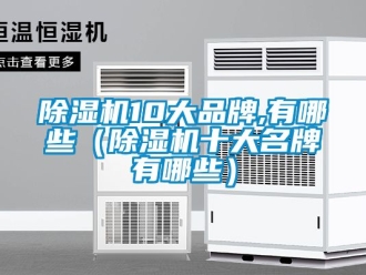 企業(yè)新聞除濕機(jī)10大品牌,有哪些（除濕機(jī)十大名牌有哪些）