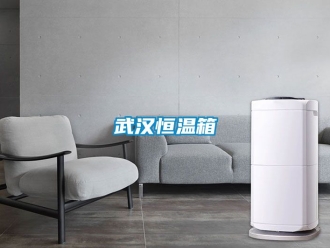 知識(shí)百科武漢恒溫箱