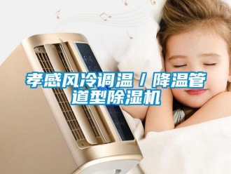 行業(yè)新聞孝感風(fēng)冷調(diào)溫／降溫管道型除濕機(jī)