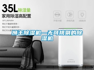 行業(yè)新聞獅王除濕機(jī)—無(wú)可挑剔的除濕機(jī)