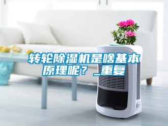 常見問題轉輪除濕機是啥基本原理呢？_重復