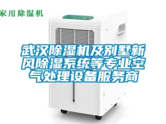 常見問題武漢除濕機及別墅新風除濕系統(tǒng)等專業(yè)空氣處理設備服務商