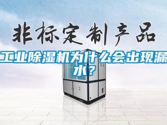企業(yè)新聞工業(yè)除濕機為什么會出現(xiàn)漏水？