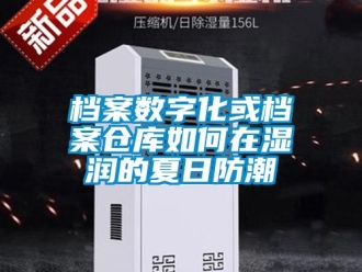企業(yè)新聞檔案數(shù)字化或檔案倉庫如何在濕潤的夏日防潮