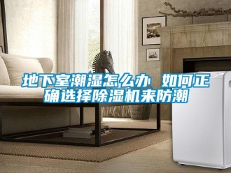 行業(yè)新聞地下室潮濕怎么辦 如何正確選擇除濕機(jī)來防潮