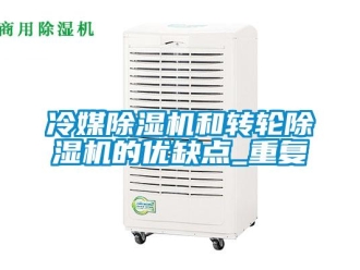 常見問題冷媒除濕機(jī)和轉(zhuǎn)輪除濕機(jī)的優(yōu)缺點_重復(fù)
