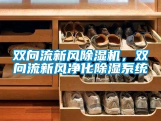 知識(shí)百科雙向流新風(fēng)除濕機(jī)，雙向流新風(fēng)凈化除濕系統(tǒng)