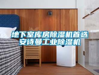 企業(yè)新聞地下室?guī)旆砍凉駲C(jī)首選安詩(shī)曼工業(yè)除濕機(jī)