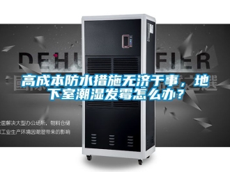 企業(yè)新聞高成本防水措施無(wú)濟(jì)于事，地下室潮濕發(fā)霉怎么辦？