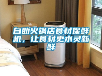 知識(shí)百科自助火鍋店食材保鮮機(jī)，讓食材更水靈新鮮