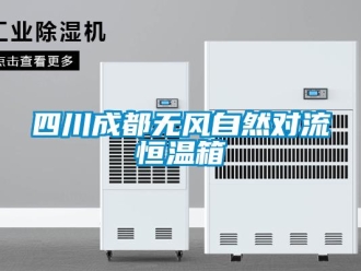 知識(shí)百科四川成都無風(fēng)自然對(duì)流恒溫箱