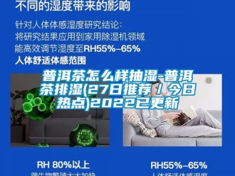企業(yè)新聞普洱茶怎么樣抽濕-普洱茶排濕(27日推薦／今日熱點(diǎn))2022已更新