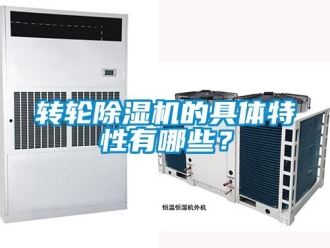 知識(shí)百科轉(zhuǎn)輪除濕機(jī)的具體特性有哪些？