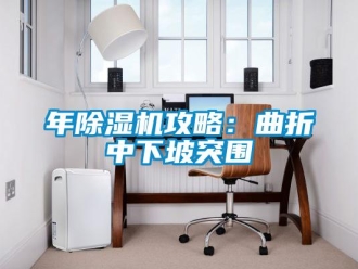 行業(yè)新聞年除濕機(jī)攻略：曲折中下坡突圍