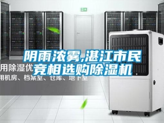 知識百科陰雨濃霧,湛江市民競相選購除濕機