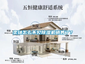 常見(jiàn)問(wèn)題賣場(chǎng)怎么不見(jiàn)除濕機(jī)銷售了？
