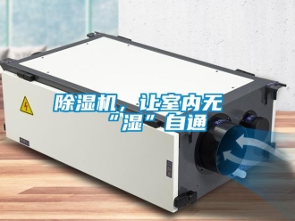 常見問題除濕機(jī)，讓室內(nèi)無“濕”自通