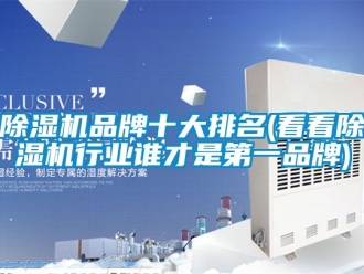 企業(yè)新聞除濕機品牌十大排名(看看除濕機行業(yè)誰才是第一品牌)
