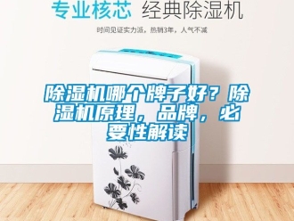 企業(yè)新聞除濕機哪個牌子好？除濕機原理，品牌，必要性解讀