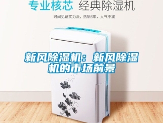 常見(jiàn)問(wèn)題新風(fēng)除濕機(jī)：新風(fēng)除濕機(jī)的市場(chǎng)前景