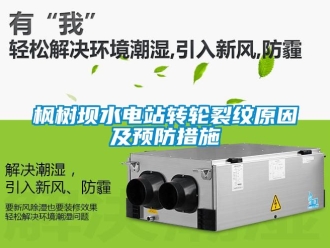 常見問題楓樹壩水電站轉(zhuǎn)輪裂紋原因及預(yù)防措施