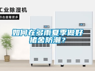 常見問題如何在多雨夏季做好豬舍防潮？