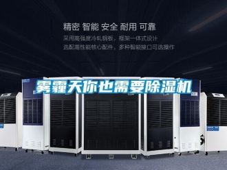 知識(shí)百科霧霾天你也需要除濕機(jī)