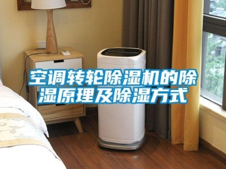 常見(jiàn)問(wèn)題空調(diào)轉(zhuǎn)輪除濕機(jī)的除濕原理及除濕方式