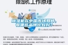 除濕機(jī)在中國市場如何，有哪些品牌比較好？