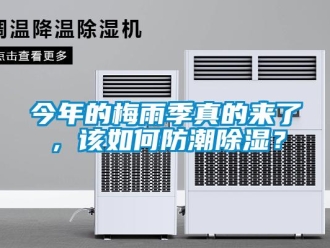 常見問題今年的梅雨季真的來了，該如何防潮除濕？