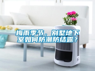 企業(yè)新聞梅雨季節(jié)，別墅地下室如何防潮防結(jié)露？