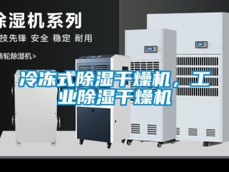 行業(yè)新聞冷凍式除濕干燥機(jī)，工業(yè)除濕干燥機(jī)