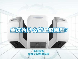 知識百科重慶為什么總是很潮濕？
