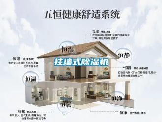 行業(yè)新聞掛墻式除濕機