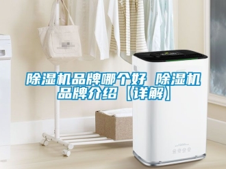 企業(yè)新聞除濕機品牌哪個好 除濕機品牌介紹【詳解】