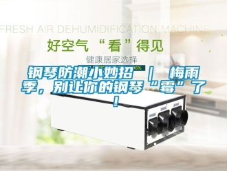 常見問題鋼琴防潮小妙招 ｜ 梅雨季，別讓你的鋼琴“霉”了！