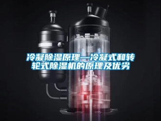 常見問題冷凝除濕原理—冷凝式和轉(zhuǎn)輪式除濕機(jī)的原理及優(yōu)劣