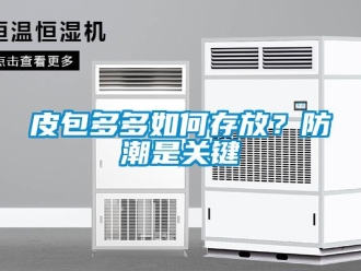 常見問題皮包多多如何存放？防潮是關鍵