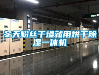 企業(yè)新聞冬天粉絲干燥就用烘干除濕一體機(jī)